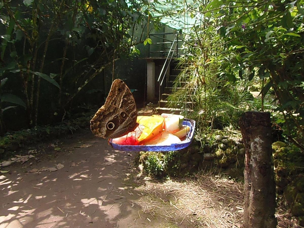 Hostal Pablo'S House Machu Picchu Eksteriør bilde